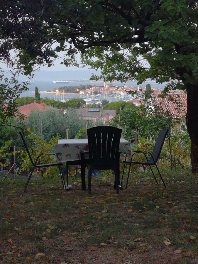 Apartment Jasmine Изола Экстерьер фото